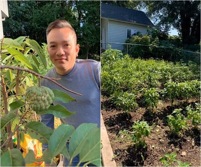 Nhiều năm trước, ông xã Phạm Thanh Thảo đã chia sẻ thành quả trồng trọt trong vườn. Ảnh: FBNV