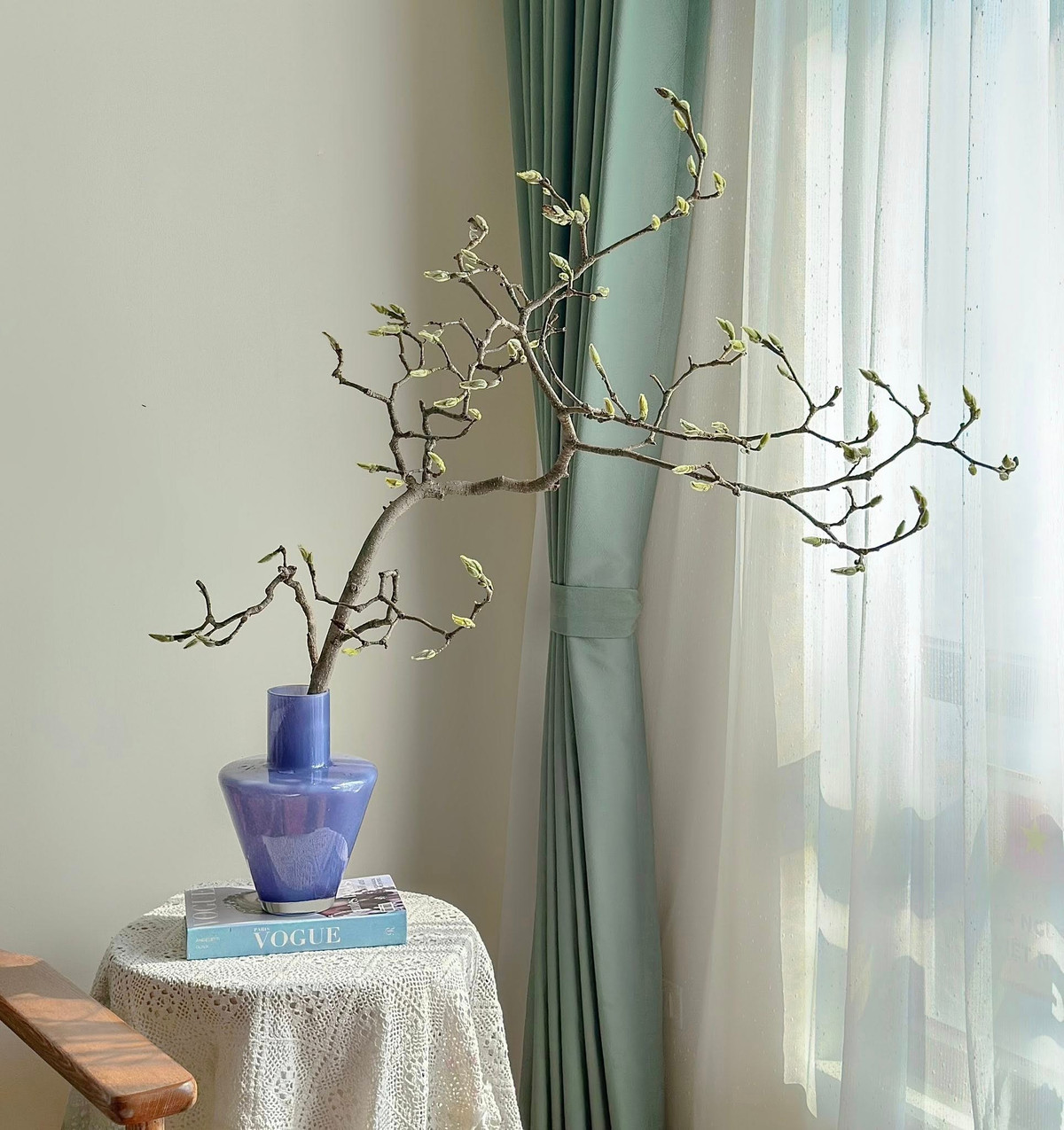 Trong khi đó, cành mộc lan non nhiều lông, nụ mềm khả năng nở thấp, hoặc hoa không bung hết lớp vỏ. Ảnh: FB Cao Thanh Thuỷ