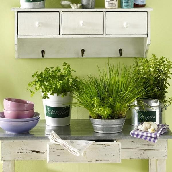 Chưa kể, hơi nóng và dầu mỡ bám lâu ngày khiến cây nhanh héo, sinh mùi khó chịu, làm mất vệ sinh khu vực chế biến thức ăn. Ảnh: Vườn cây Việt