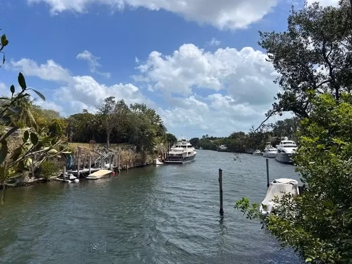 Du thuyền sang trọng của cư dân tấp nập đậu ven sông cho thấy sự giàu có. Ảnh: Business Insider