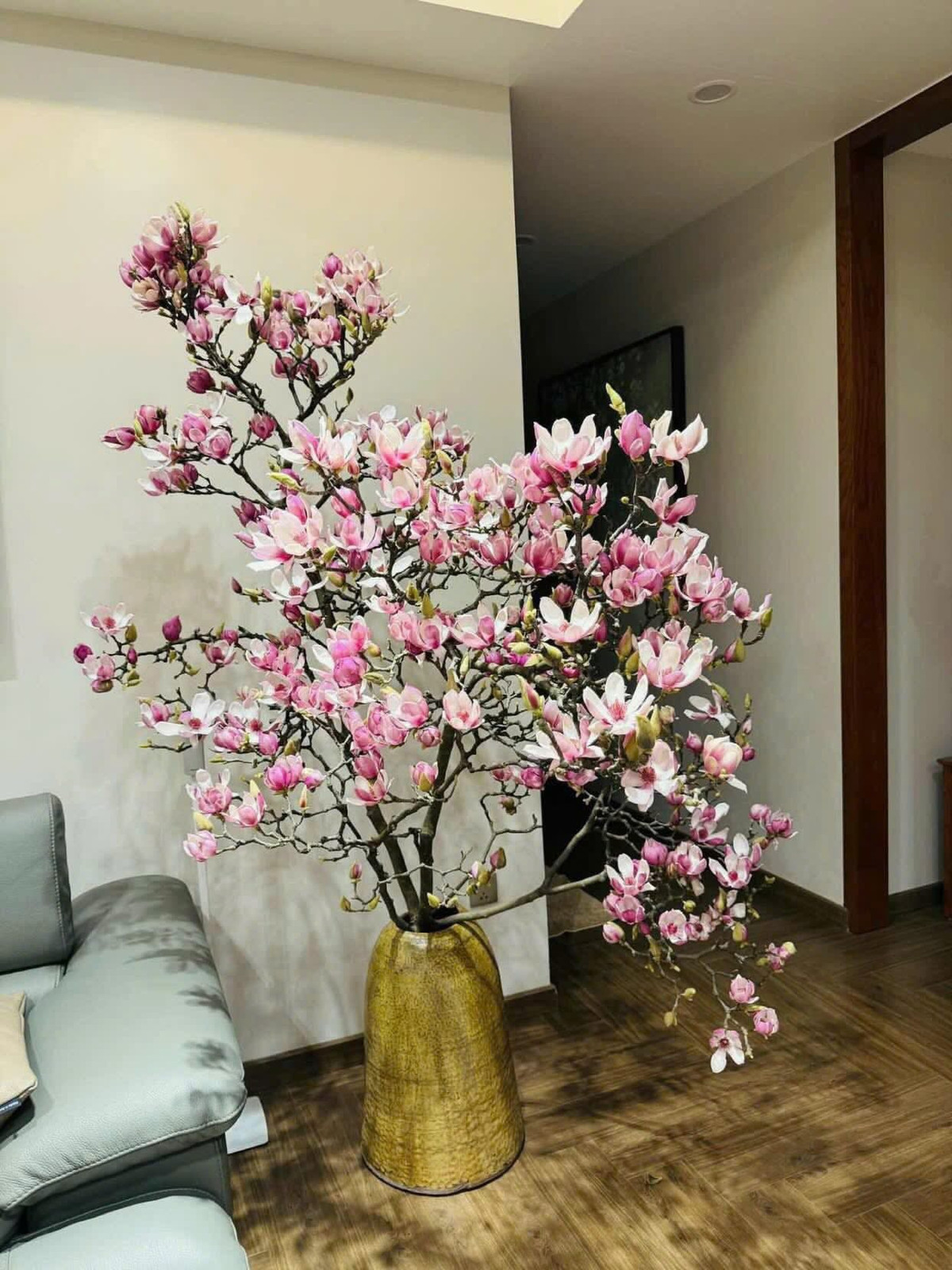 Trào lưu chơi hoa mộc lan ngày Tết rộ từ vài năm trước, nhưng phải đến Tết Bính Ngọ 2026 mới thật sự bùng nổ. Ảnh: Facebook