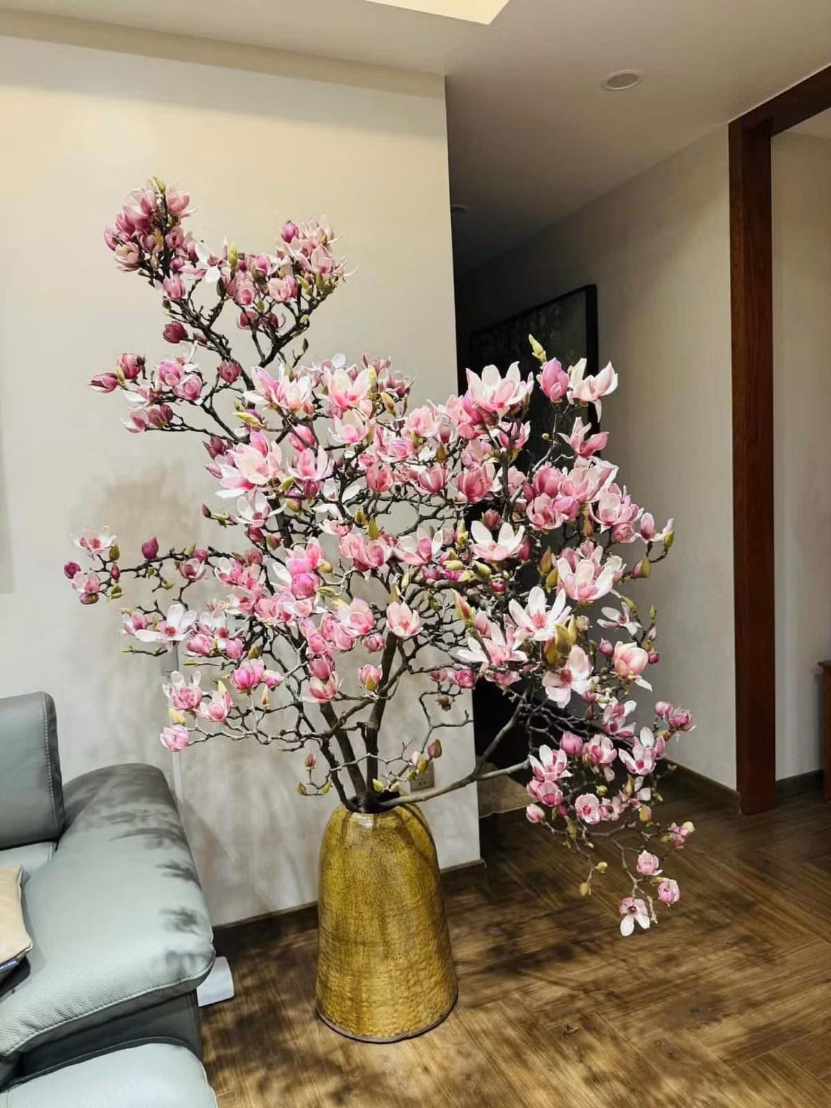 Trào lưu chơi hoa mộc lan ngày Tết rộ từ vài năm trước, nhưng phải đến Tết Bính Ngọ 2026 mới thật sự bùng nổ. Ảnh: Facebook