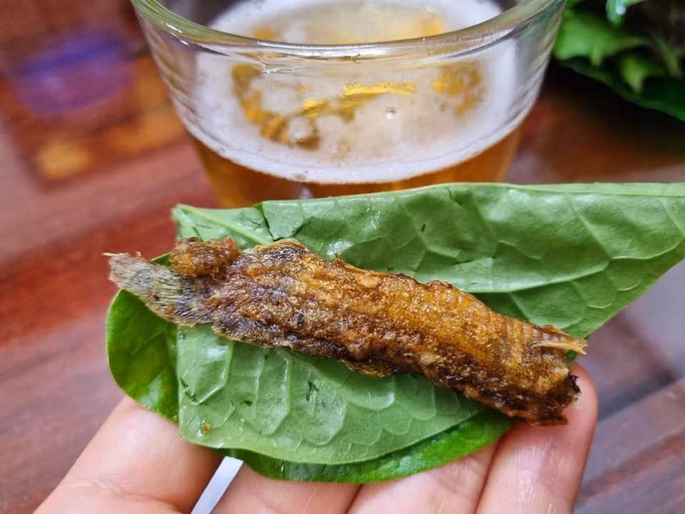 Cá chạch có thể chế biến thành nhiều món như kho nghệ vàng óng, chiên...Ảnh: Facebook