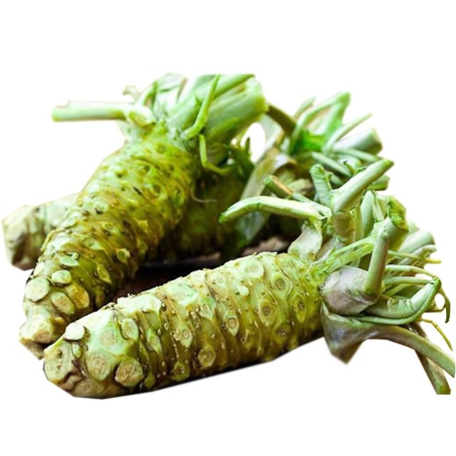Wasabi là loại củ gia vị cay nồng đặc trưng trưng trong ẩm thực Nhật Bản, thường đi kèm với sushi và sashimi. Ảnh: Moshi Moshi