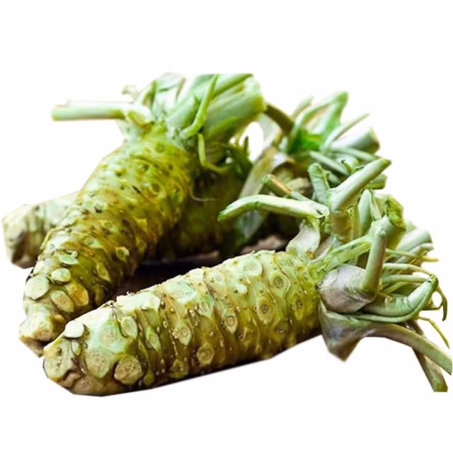 Wasabi là loại củ gia vị cay nồng đặc trưng trưng trong ẩm thực Nhật Bản, thường đi kèm với sushi và sashimi. Ảnh: Moshi Moshi