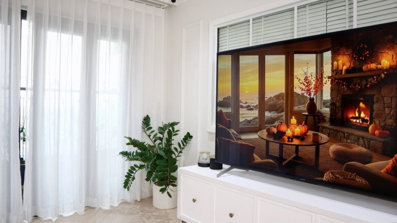 Cạnh tivi ở phòng khách đặt một chậu cây kim tiền để tô điểm cho không gian sống. Ảnh: FBNV