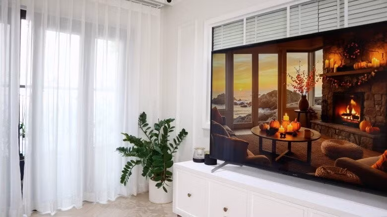 Cạnh tivi ở phòng khách đặt một chậu cây kim tiền để tô điểm cho không gian sống. Ảnh: FBNV