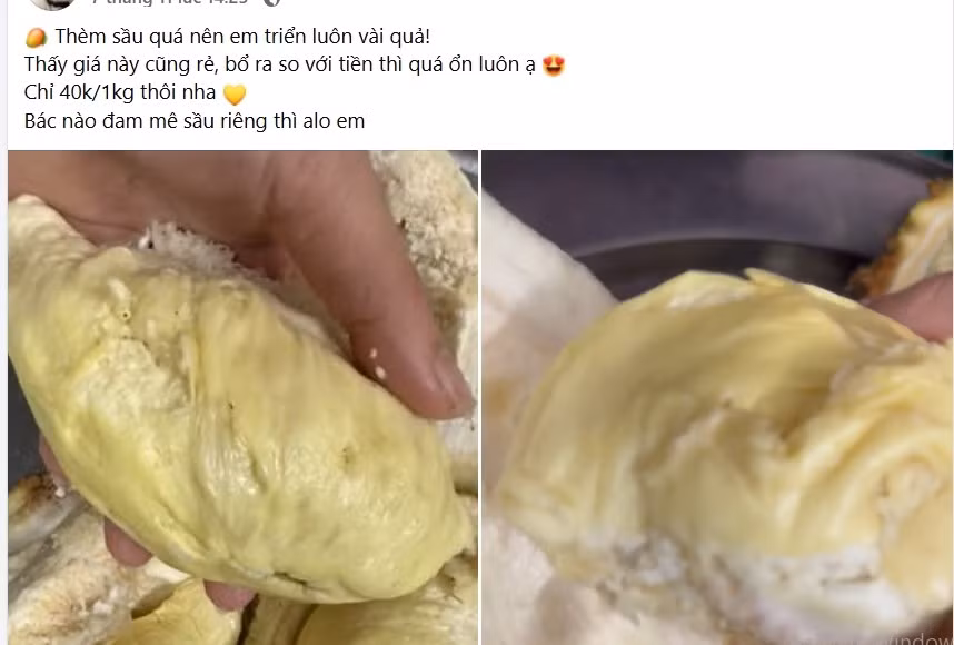 Nhưng thời gian gần đây, sầu riêng giá rẻ chỉ từ 35.000 đồng/kg được rao bán khắp chợ mạng và một số cửa hàng hoa quả. Ảnh chụp màn hình