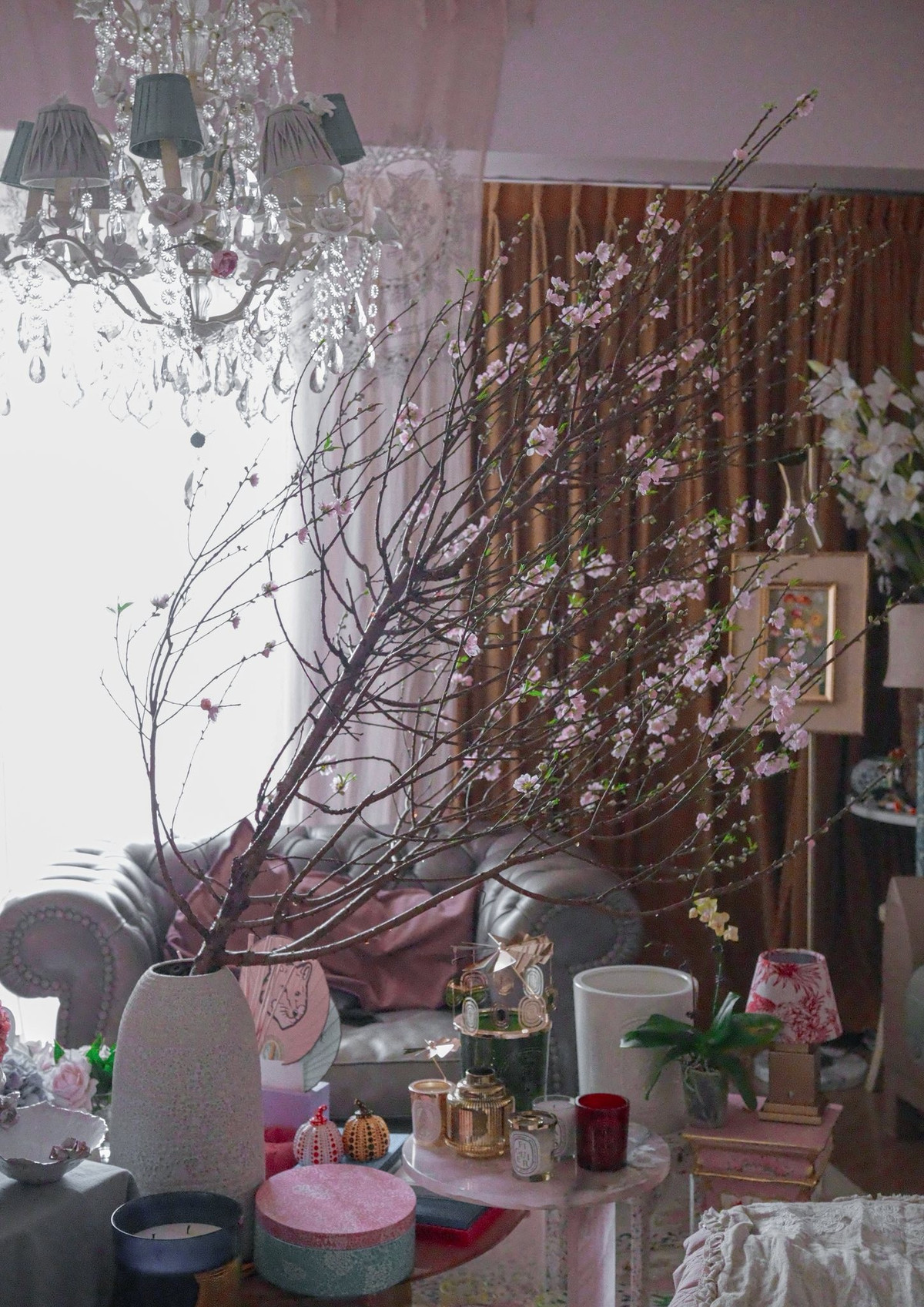 Ánh sáng từ cửa sổ lớn phản chiếu qua những cánh hoa mỏng manh, tạo bức tranh xuân ấm áp và đầy cảm hứng. Ảnh: FB Lý Quí Khánh