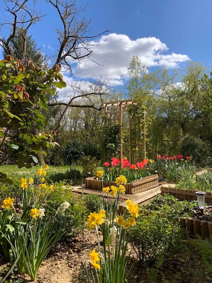 Khu vườn của nghệ sĩ Lê Vi giống như một tác phẩm nghệ thuật sống động thay đổi sắc màu theo từng mùa. Ảnh: FB Tran Le Vi Levi