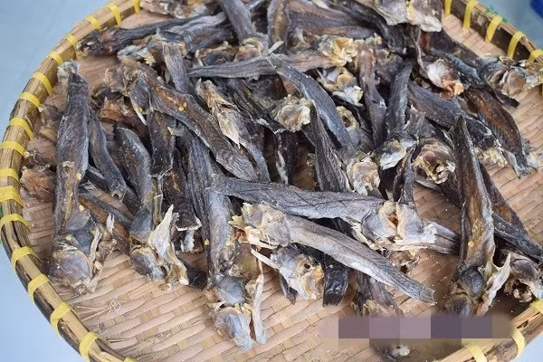 Cá leo cây có thể chế biến thành nhiều món kho tiêu, kho tương, nướng, gỏi... Trong đó, khô cá thòi lòi làm nên thương hiệu và trở thành niềm tự hào của người Cà Mau vùng sông nước. Ảnh: Chodokho