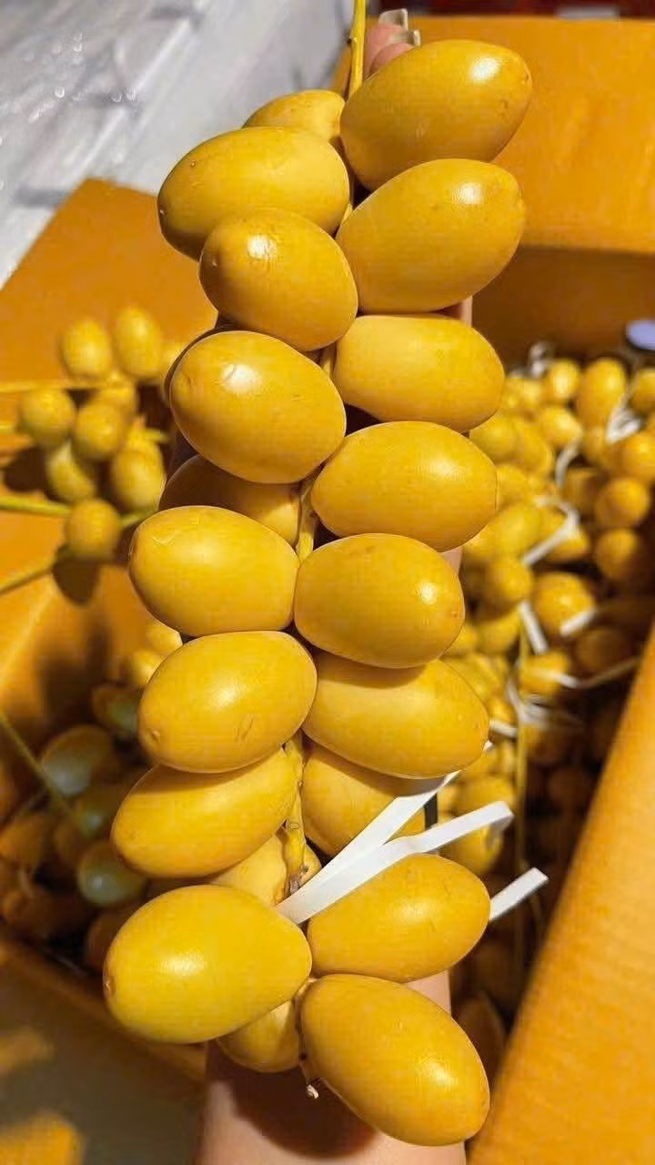 Chà là vốn có nguồn gốc từ Bắc Phi và Trung Đông, nơi khí hậu khô nóng khắc nghiệt. Trước kia, chà là được biết đến là loại trái cây “nhà giàu” tại Việt Nam, bởi chỉ xuất hiện tại các cửa hàng hoa quả nhập khẩu giá từ 400.000 - 700.000 đồng/kg, tuỳ loại. Ảnh: Facebook