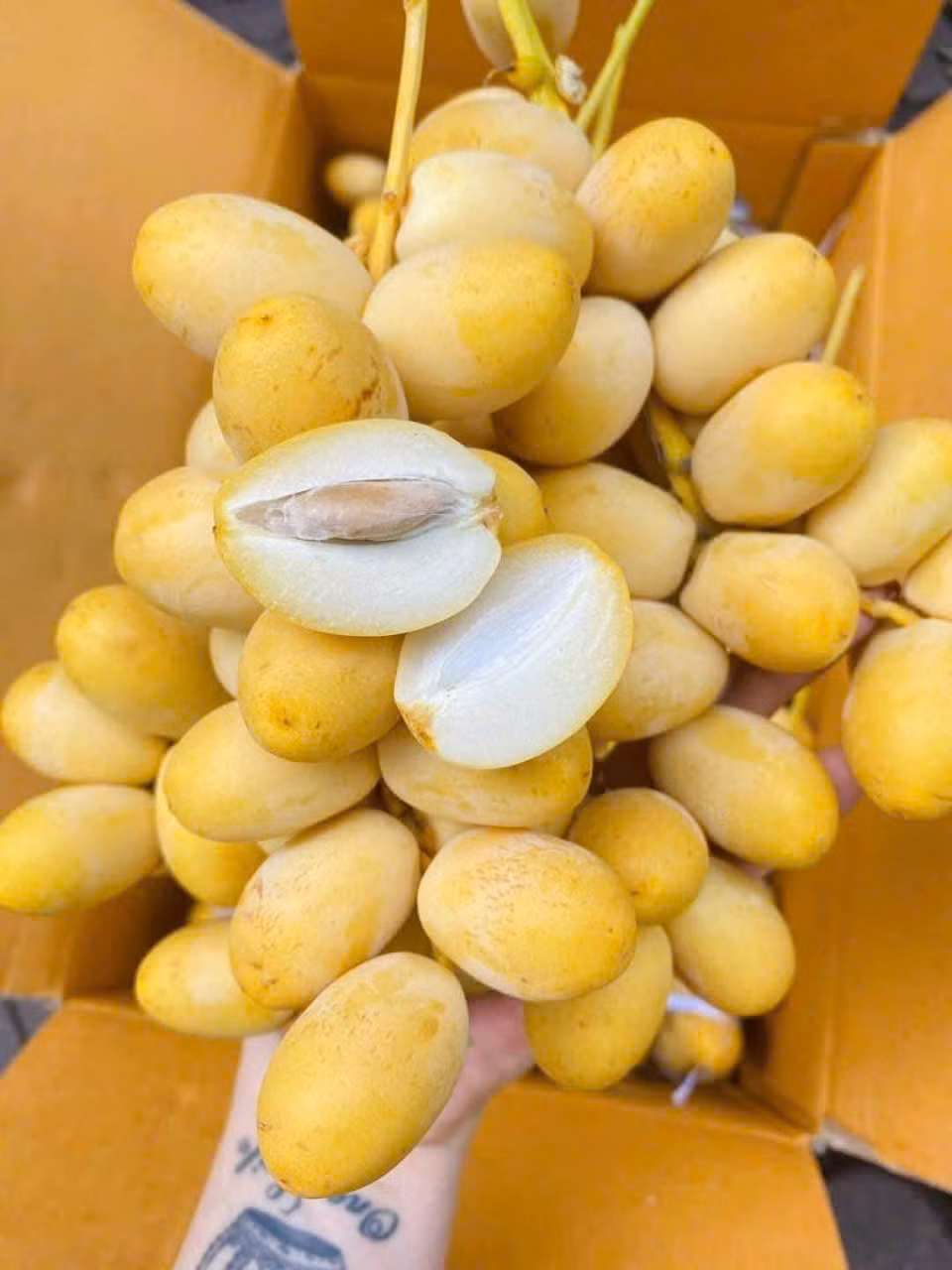 Theo chủ một cửa hàng trái cây nhập khẩu ở Hà Nội, chà là Peru giá từ 500.000 - 600.000 đồng/kg, chà là Ai Cập có giá khoảng 350.000 đồng/kg. Hai loại chà là này rất ngọt. Ảnh: Facebook