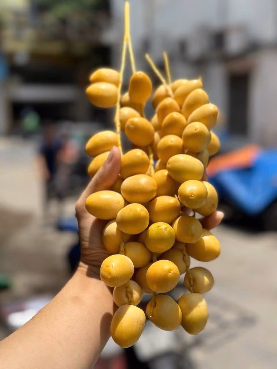 Nay giá rẻ, chị Hà mua thử 1kg về ăn. Tuy nhiên, loại chà là này không ngọt bằng loại chị đã từng ăn, còn chát ở hậu vị. Ảnh: Facebook