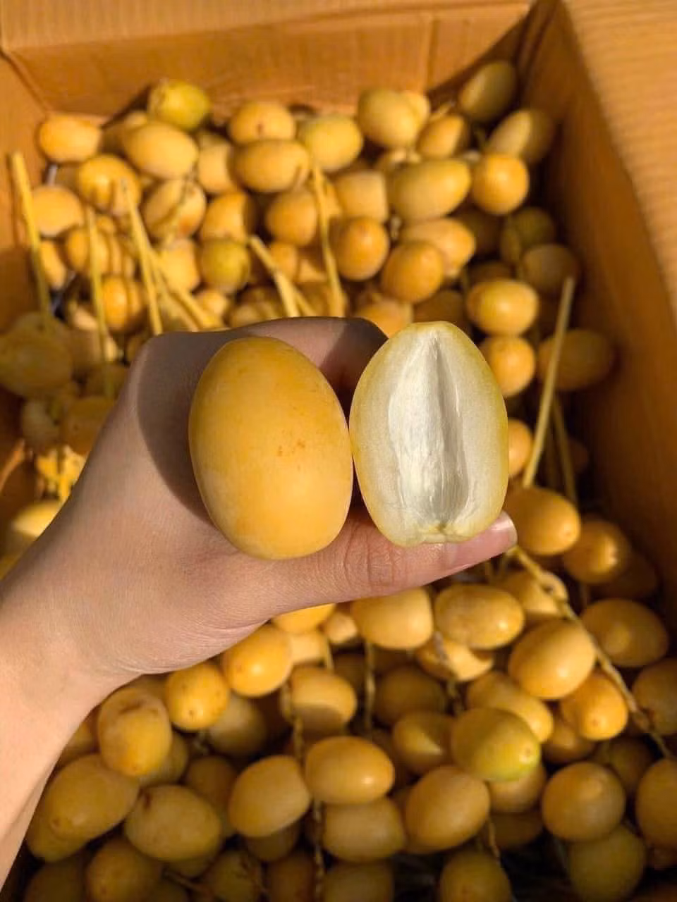 Chị Thu Hà (ở xã Thanh Trì, Hà Nội) cho biết, trước kia, chà là tươi giá 500.000 - 600.000 đồng/kg nên không dám mua. Ảnh: Facebook