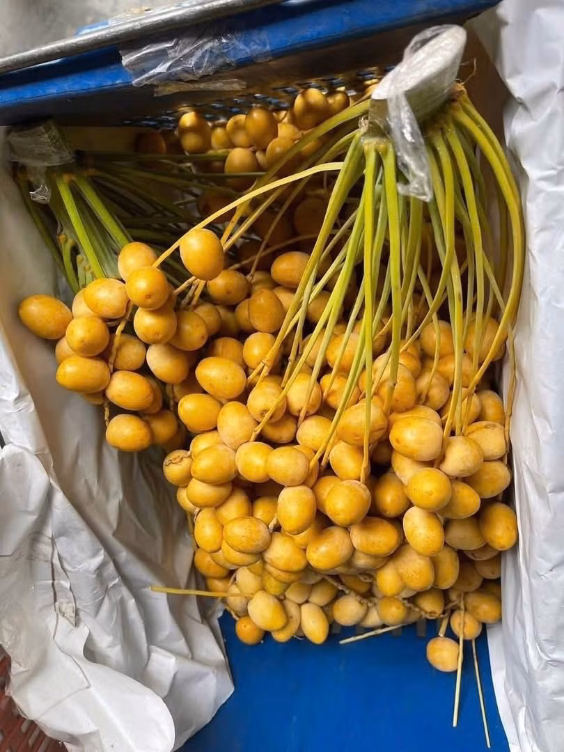 Năm ngoái, chà là tươi tại Việt Nam phổ biến ở mức 180.000 - 300.000 đồng/kg. Năm nay, mức giá rẻ nhất xuống chỉ còn 69.000 đồng/kg. Ảnh: Facebook