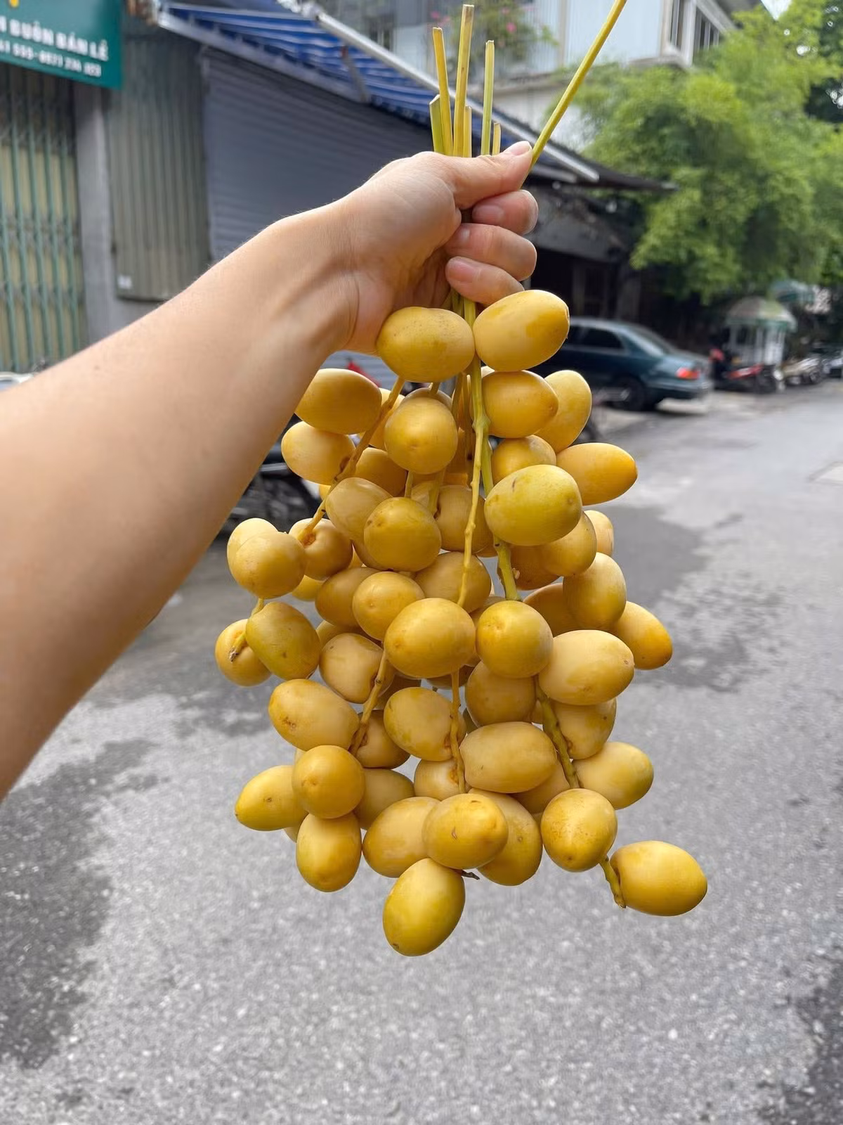 Các tiểu thương dự đoán, giá chà là tươi Thái Lan có thể duy trì ở mức thấp đến hết mùa thu hoạch, sau đó tăng nhẹ khi nguồn cung giảm. Ảnh: Facebook