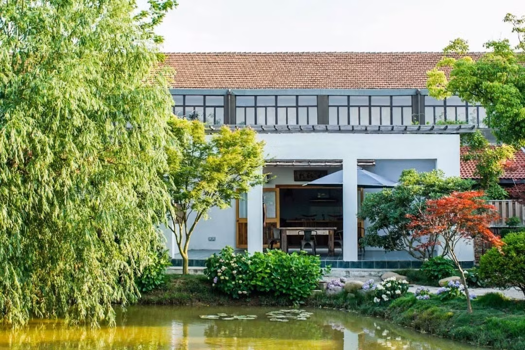 Ao thiết kế cạnh lối đi dẫn vào nhà. Ảnh: Sohu