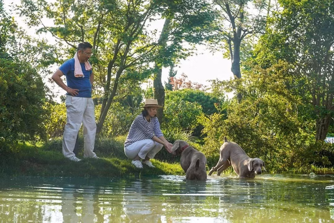 Khung cảnh yên bình bên trong khu nhà vườn. Ảnh: Sohu >>> Mời độc giả xem video: Nhà 25m2 - cơ hội cho nhiều người: Nguồn: VTV24