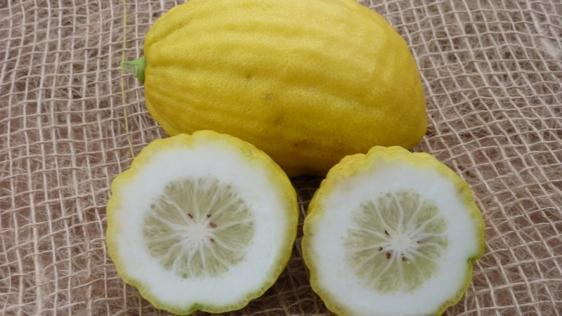 Ngoài dùng làm thực phẩm và dược liệu, chanh yên còn xuất hiện trong nhiều sản phẩm sáng tạo như bánh, kem, coktail nhờ hương vị đặc biệt. Ảnh: Trúc Vũ Farm