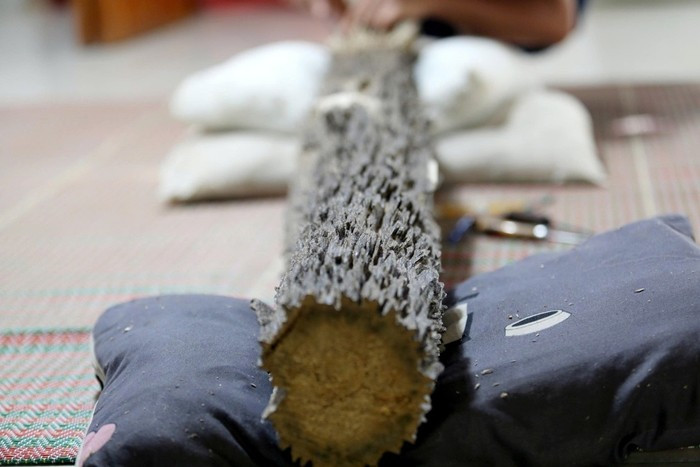 Dù đã có người trả giá 600 triệu đồng nhưng gia đình vẫn chưa bán vì cho rằng giá trị thực có thể vượt một tỷ đồng. Ảnh: Tiền phong