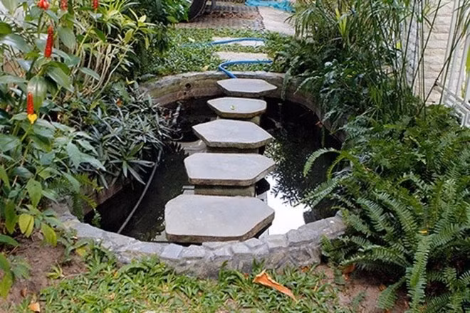 Hồ cá nhỏ cho góc vườn thêm xinh. Ảnh: Internet