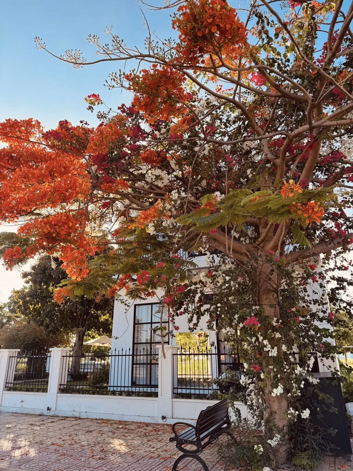 Căn biệt thự tại Nhà Bè (TP HCM) của nam diễn viên có 2 mặt tiền, xung quanh trồng nhiều cây và hoa rực rỡ. Ảnh: FBNV