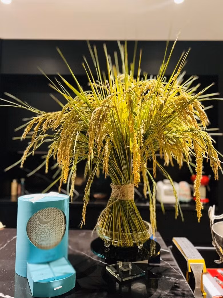 Đây không phải lần đầu tiên BTV Ngọc Trinh lựa chọn cành lúa trang trí không gian sống. Trước đây, cô từng cắm bó lúa tươi cột dây thừng mộc, đặt trong bình thủy tinh lớn, nổi bật trên nền bếp đen sang trọng. Ảnh: FB Ngoc Trinh Duong