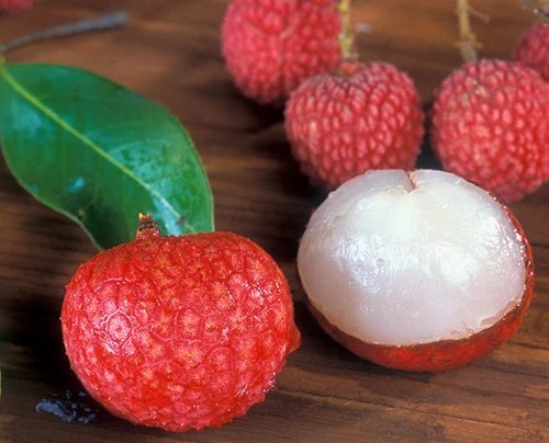 Trong vài chục giống vải được trồng tại Úc, Kaimana là loại phổ biến nhất. Ảnh: Ross Creek Tropicals