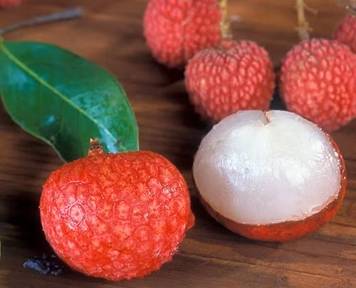 Trong vài chục giống vải được trồng tại Úc, Kaimana là loại phổ biến nhất. Ảnh: Ross Creek Tropicals