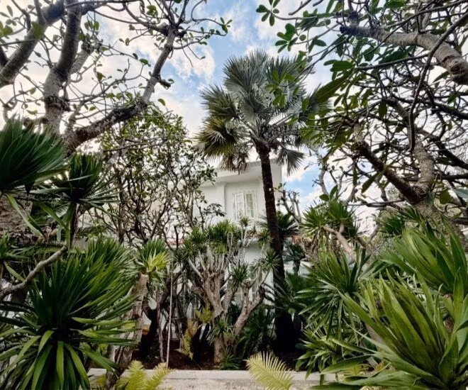 Đầu năm nay, nhà thiết kế Đỗ Mạnh Cường tậu căn biệt thự sân vườn rộng tới 2.000m² ở khu Thảo Điền (TP HCM) để các con có không gian sống trong lành. Ảnh: FBNV