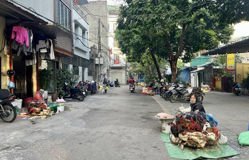 Sáng 8/1, người mua kẻ bán vẫn tấp nập tại chợ cóc ngõ 481/1 Ngọc Lâm (phường Bồ Đề). Người bán chủ yếu ở ngoại thành, mang rau cỏ, thịt lợn đến bán vào buổi sáng. Ảnh: Cand