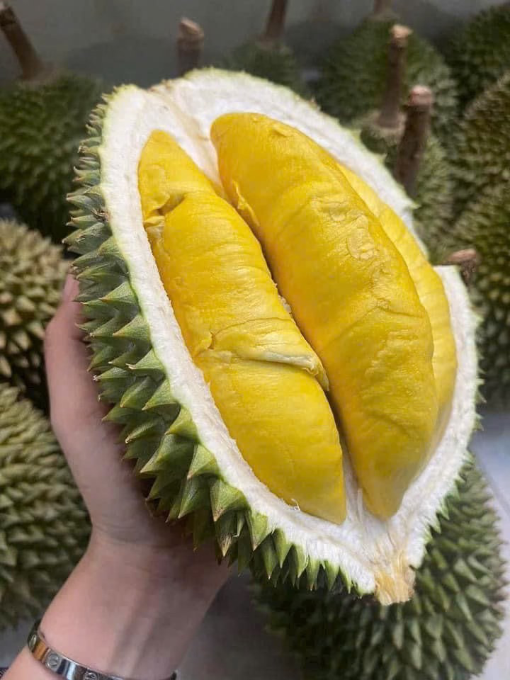 Nhiều người từng phải mua sầu riêng Musang King đông lạnh với giá 1,6 - 1,8 triệu đồng/kg. Ảnh: Facebook