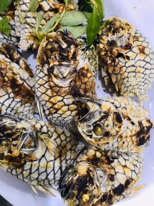 Khi nướng lên, thịt cá mãng cầu thơm lừng, lớp da giòn nhẹ, bên trong trắng ngần và ngọt như thịt gà, đậm đà vị biển. Ảnh: Internet