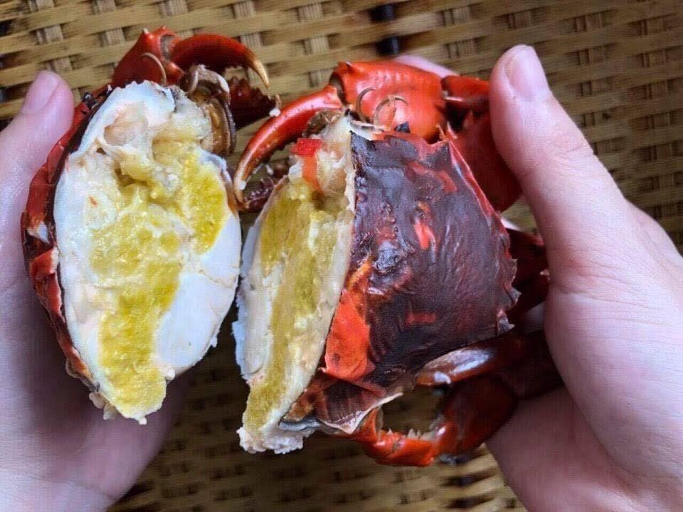 Khác với cua thường, cua hai da có phần vỏ ngoài hơi mềm, dễ bóp nhẹ, màu sắc tươi sáng hơn. Khi bóc vỏ, bên trong còn lớp da cua cũ, tạo nên hình dáng đặc biệt. Ảnh: Cuacamau