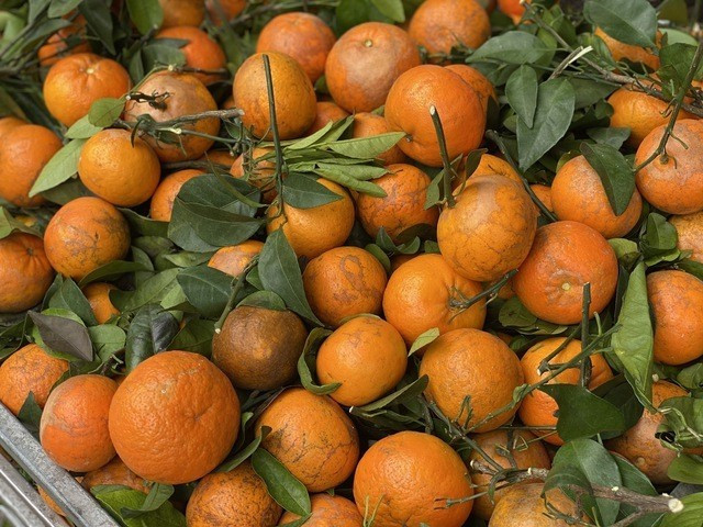 Do giá rẻ lại ngọt, thơm nên khách hàng thường đặt mua số lượng lớn để ăn dần. Ảnh: Facebook