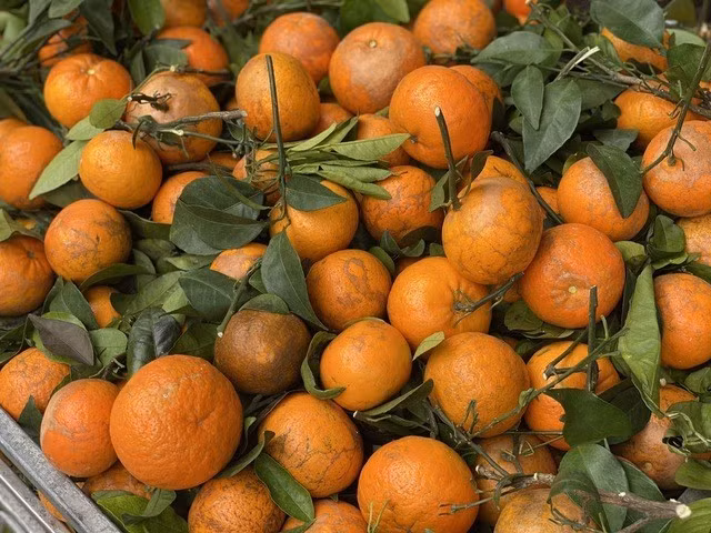 Do giá rẻ lại ngọt, thơm nên khách hàng thường đặt mua số lượng lớn để ăn dần. Ảnh: Facebook