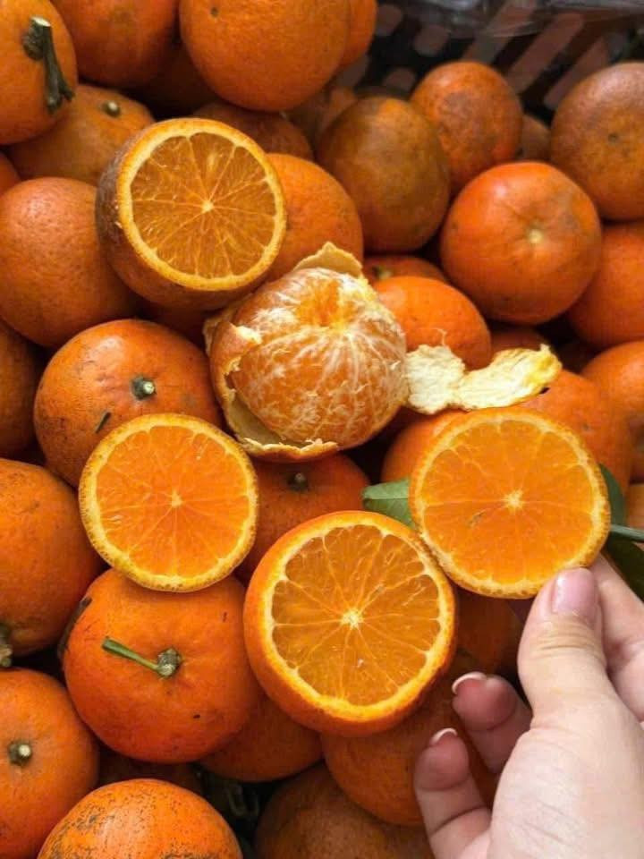 Quýt sim của Việt Nam thường là giống quýt Úc được trồng tại Cao Phong (Hoà Bình cũ), có quy trình chăm sóc kỹ lưỡng, thường có tem và thùng nhận diện thương hiệu, chất lượng ổn định, giá cao hơn. Ảnh: Facebook