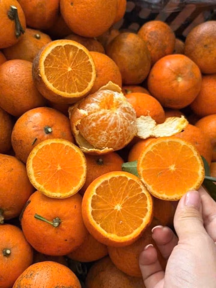 Quýt sim của Việt Nam thường là giống quýt Úc được trồng tại Cao Phong (Hoà Bình cũ), có quy trình chăm sóc kỹ lưỡng, thường có tem và thùng nhận diện thương hiệu, chất lượng ổn định, giá cao hơn. Ảnh: Facebook