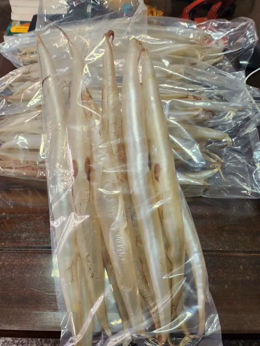 Giá trị đặc biệt nhất của cá lạc không nằm ở phần thịt, mà là bộ phận bong bóng cá, một túi hơi nhỏ nằm trong bụng cá. Ảnh: Hải Sản Ông Giàu