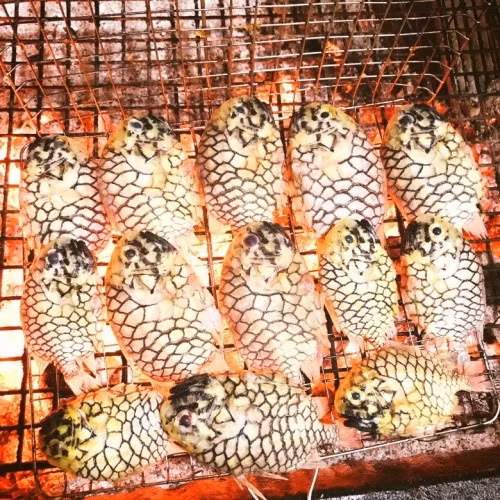 Thịt cá mãng cầu dày, trắng, săn chắc và đặc biệt là rất ngọt, không tanh. Ảnh: Facebook