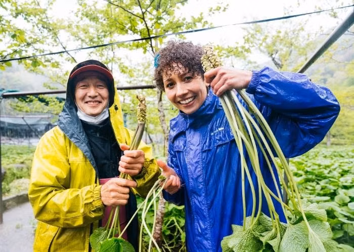 Giống một loại rau củ hơn là một loại gia vị, wasabi được làm từ thân rễ của cây wasabi, tức là phần thân ngầm của cây. Thân ngầm này được bào mịn để tạo thành bột wasabi. Ảnh: Byfood