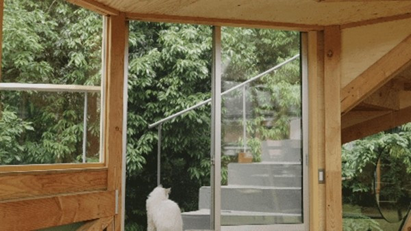 Để tiết kiệm chi phí, Ichijo và vợ còn tận dụng những tấm gỗ còn sót lại làm các món nội thất như giá sách, bàn làm việc, giường, quầy bếp, tấm che máy hút mùi, bàn trang điểm... Ảnh Toutiao