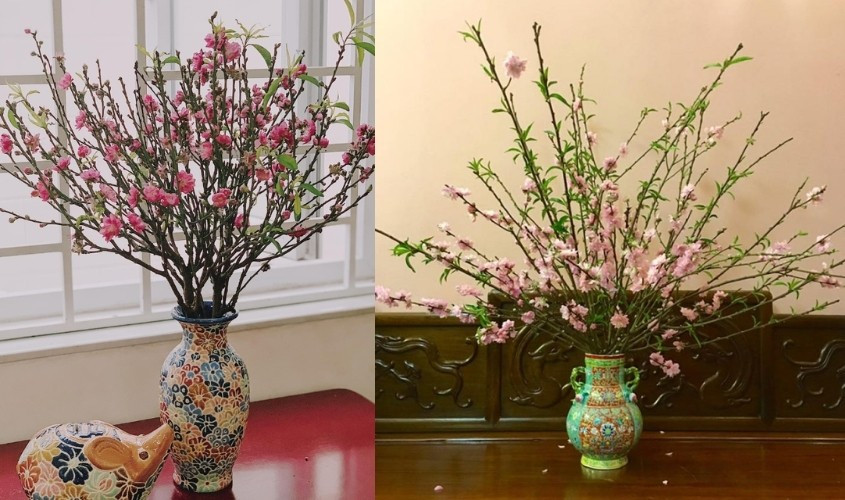 Khi cắm đào, nên chọn cành có nhiều nụ xen kẽ hoa nở, đặt ở phòng khách hoặc gần cửa ra vào để đón sinh khí đầu năm. Ảnh: AVAKids