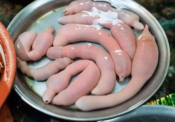 Khi chạm tay vào hoặc ngâm trong nước, cơ thể cá dương vật có thể nở phồng lên, càng làm cho hình dáng trở nên “nhạy cảm” và gây ngượng ngùng với những ai lần đầu nhìn thấy. Ảnh: Flickr