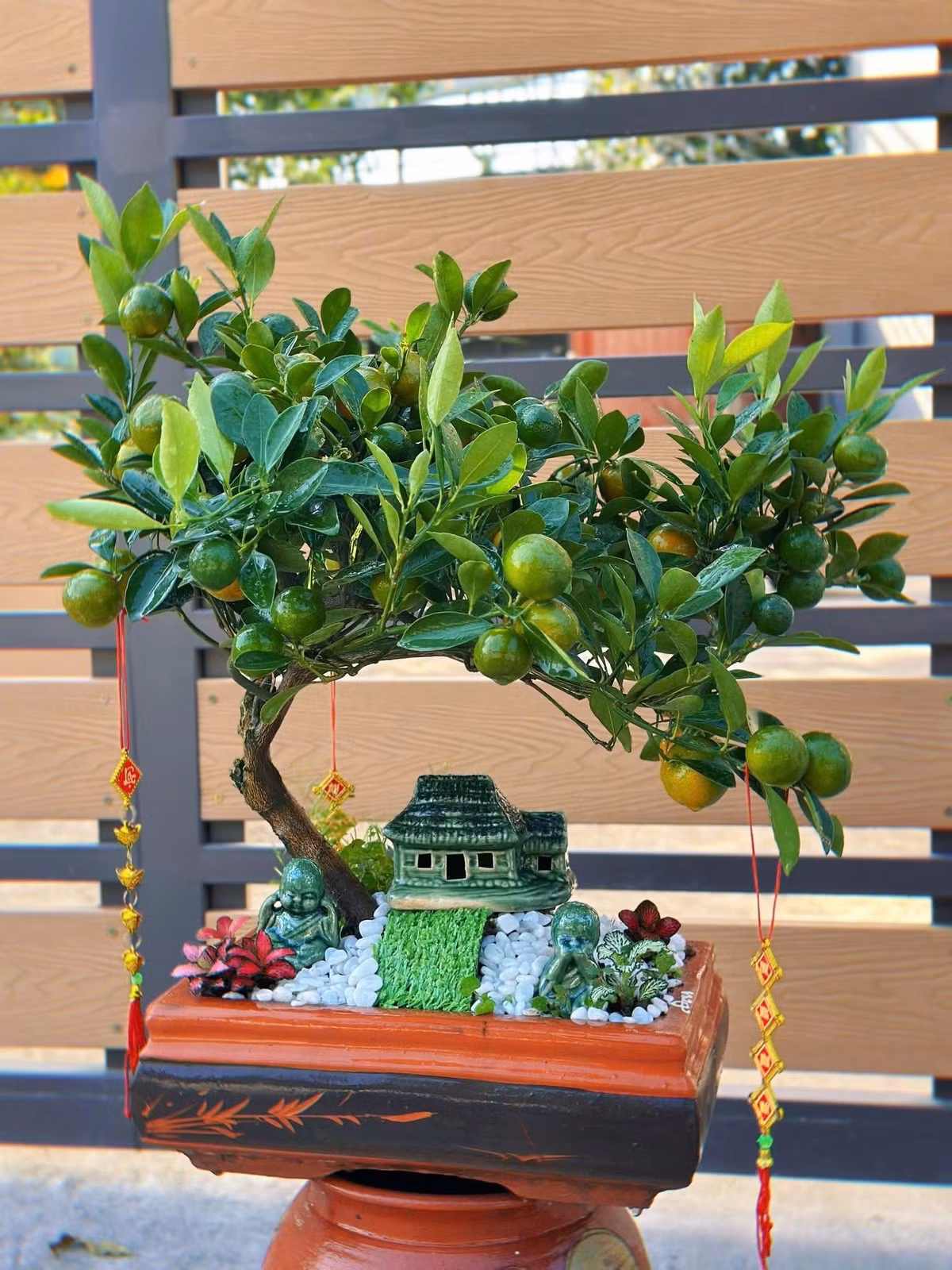 Dù chưa đến Tết nhưng hàng trăm chậu quất tiểu cảnh đã được khách mua. Ảnh: Facebook