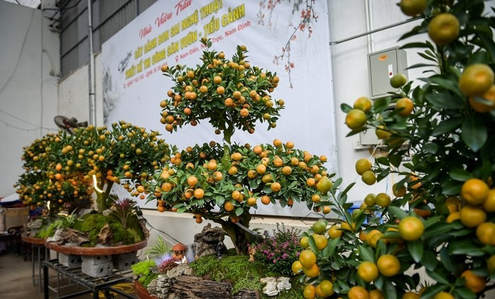 Các tác phẩm còn được kết hợp nhiều kiểu chậu, chi tiết trang trí như núi giả, nhà cổ, linh vật, đá, rêu, thác nước mini... mang ý nghĩa phong thủy như “Thuận buồm xuôi gió”, “Cầu vồng”... Ảnh: Vietnamnet