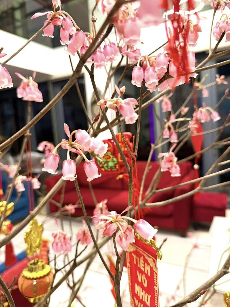 Cành đào chuông giúp không gian sống của Đàm Vĩnh Hưng thêm sang trọng. Ảnh: FBNV