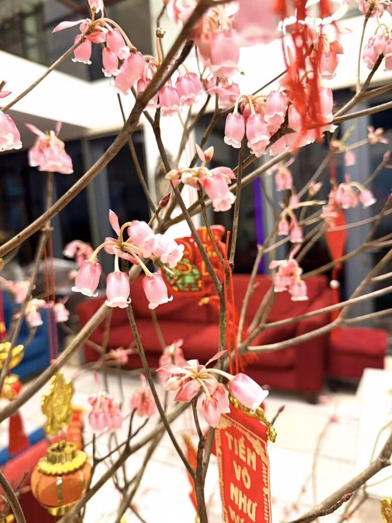 Cành đào chuông giúp không gian sống của Đàm Vĩnh Hưng thêm sang trọng. Ảnh: FBNV