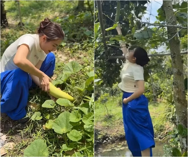Vân Trang thích thú khi được tự tay chăm sóc và hái rau củ trong vườn. Ảnh chụp màn hình